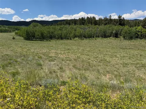 728 Stacker Dr, Hartsel, CO 80449