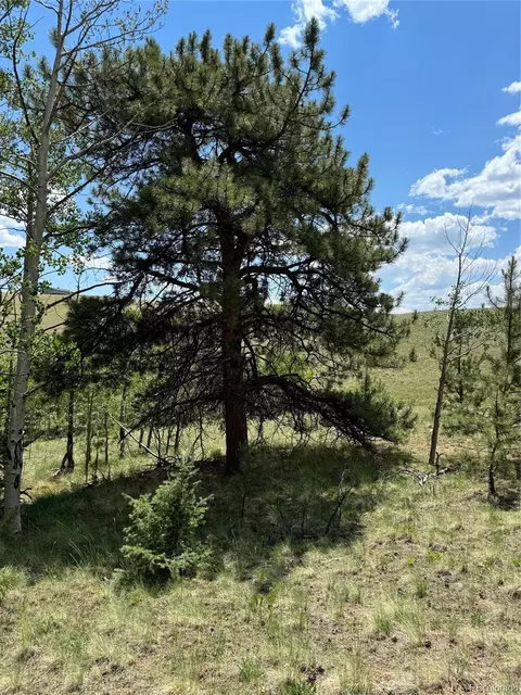 728 Stacker Dr, Hartsel, CO 80449 photo 14
