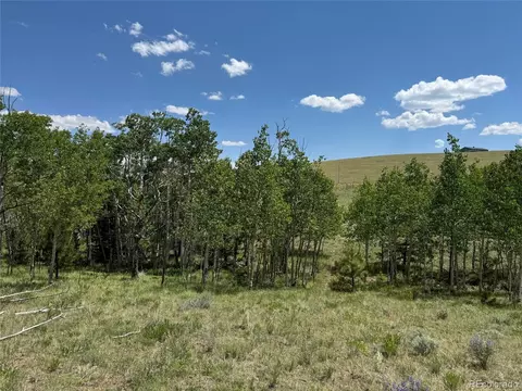 728 Stacker Dr, Hartsel, CO 80449 photo 13