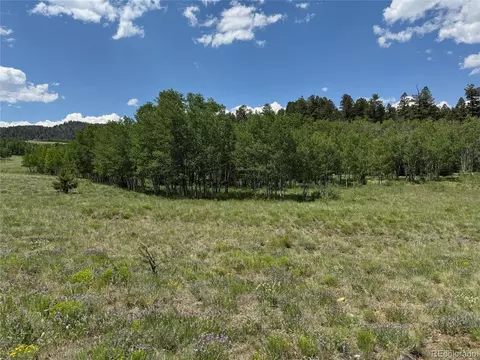 728 Stacker Dr, Hartsel, CO 80449 photo 6