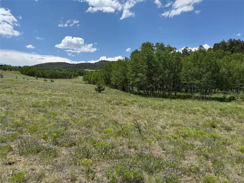 728 Stacker Dr, Hartsel, CO 80449 photo 4