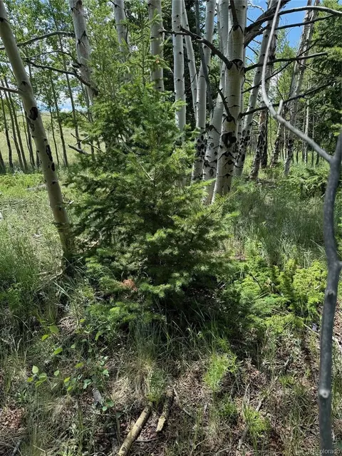 728 Stacker Dr, Hartsel, CO 80449 photo 7