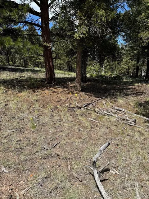 728 Stacker Dr, Hartsel, CO 80449 photo 23