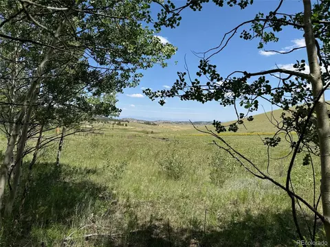 728 Stacker Dr, Hartsel, CO 80449 photo 12