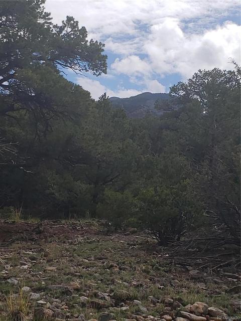 210 Medano Pl, Mosca, CO 81146 photo 3