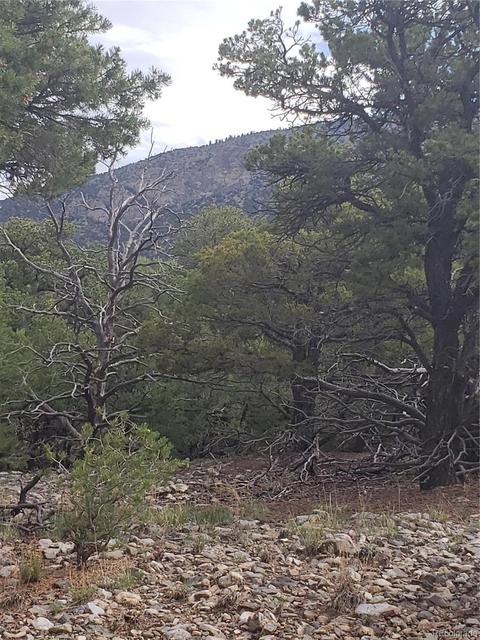 210 Medano Pl, Mosca, CO 81146 photo 1