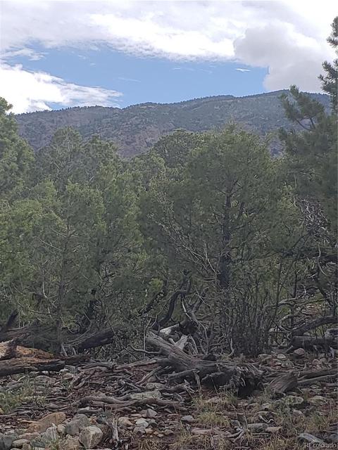210 Medano Pl, Mosca, CO 81146 photo 2
