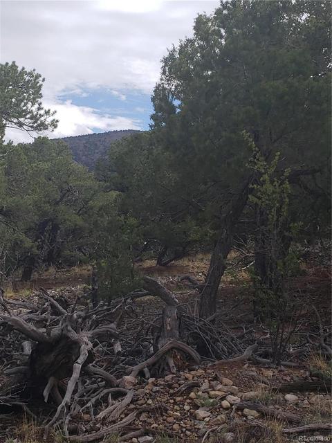 210 Medano Pl, Mosca, CO 81146 photo 6