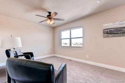 11085 E 162nd Dr, Brighton, CO 80602 photo 16
