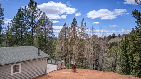 295 Valley Rd, Divide, CO 80814 photo 15