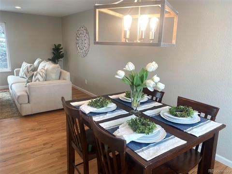 4171 E 115th Pl, Thornton, CO 80233 photo 10