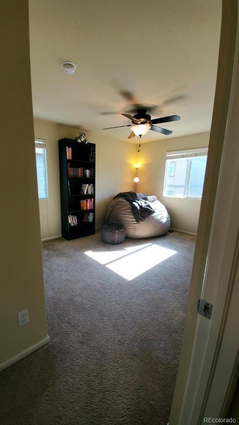 3544 E 141st Dr, Thornton, CO 80602 photo 24