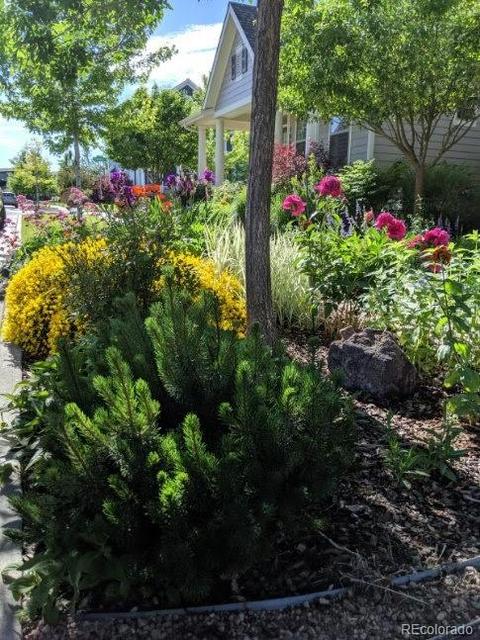 10680 E 28th Ave, Denver, CO 80238 photo 40