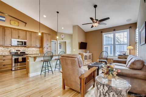 10680 E 28th Ave, Denver, CO 80238 photo 4