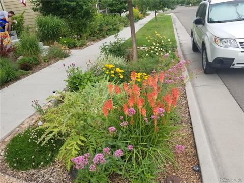 10680 E 28th Ave, Denver, CO 80238 photo 30