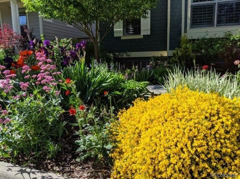10680 E 28th Ave, Denver, CO 80238 photo 39