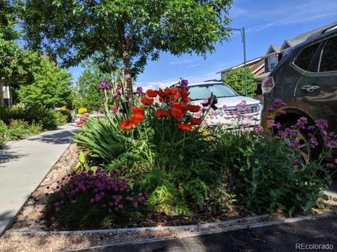 10680 E 28th Ave, Denver, CO 80238 photo 36