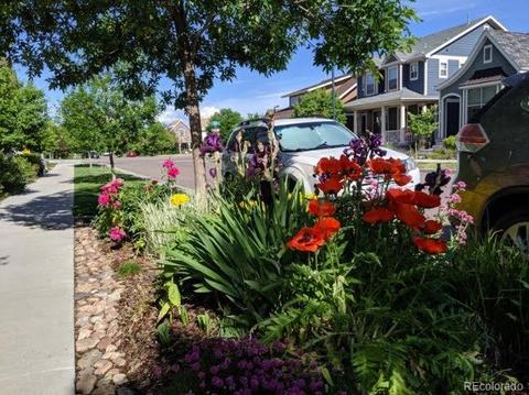10680 E 28th Ave, Denver, CO 80238 photo 37