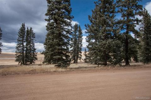 197 Joshua Rd, Divide, CO 80814 photo 2