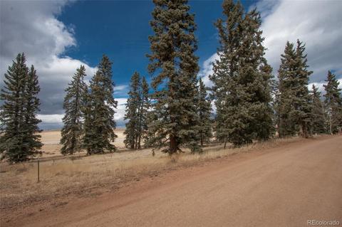 197 Joshua Rd, Divide, CO 80814 photo 1