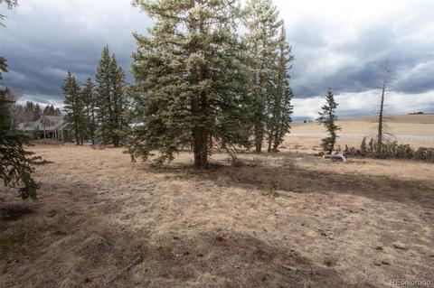 197 Joshua Rd, Divide, CO 80814 photo 7