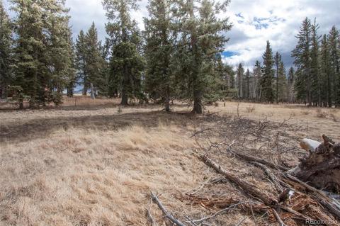 197 Joshua Rd, Divide, CO 80814 photo 6