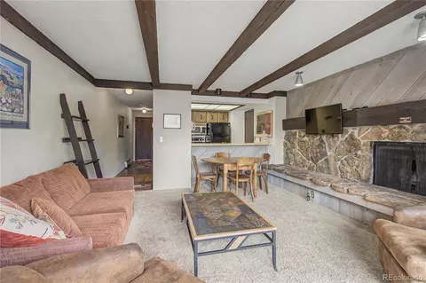 Living - 107 Harris St #209, Breckenridge, CO 80424 photo 3 of 4