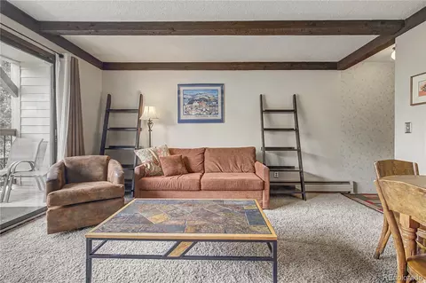 Living - 107 Harris St #209, Breckenridge, CO 80424 photo 4 of 4