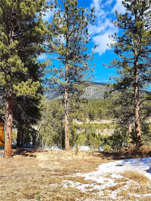 116 Neal St, Bailey, CO 80421 photo 4