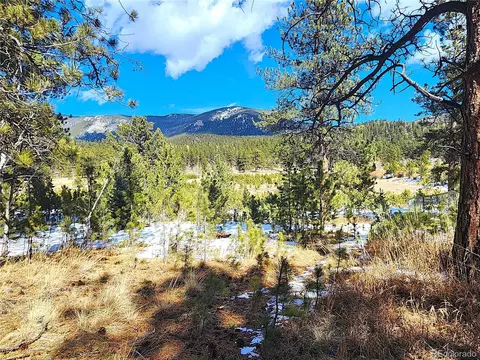 116 Neal St, Bailey, CO 80421 photo 5