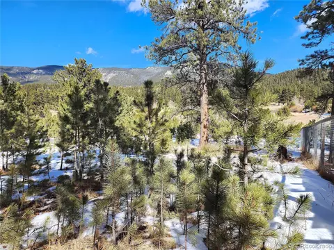 116 Neal St, Bailey, CO 80421 photo 7