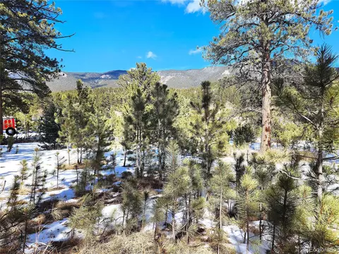 116 Neal St, Bailey, CO 80421 photo 3
