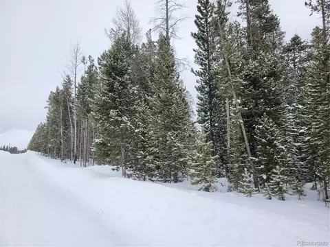000 Gcr 490, Grand Lake, CO 80447