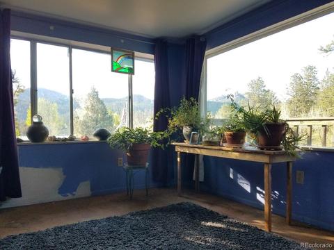 18077 Pine St, Buffalo Creek, CO 80425 photo 14