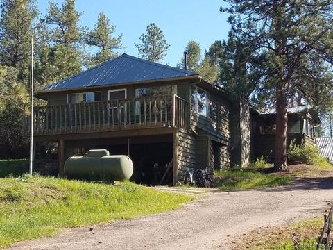18077 Pine St, Buffalo Creek, CO 80425 photo 1