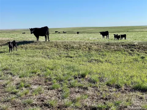 County Road 125, Deer Trail, CO 80105