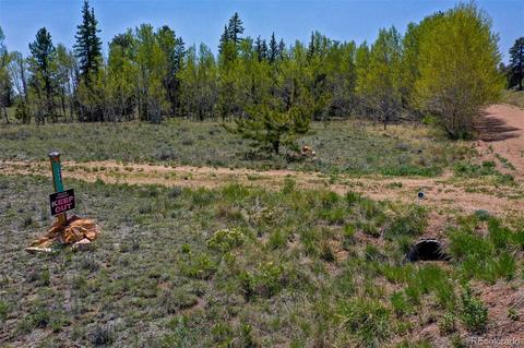 1248 Frees Loop, Hartsel, CO 80449 photo 9