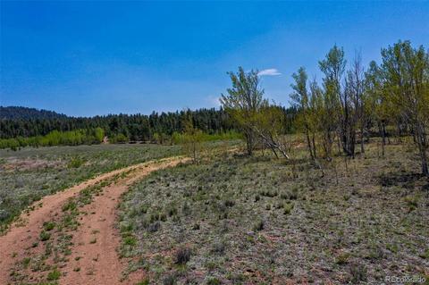 1248 Frees Loop, Hartsel, CO 80449 photo 8