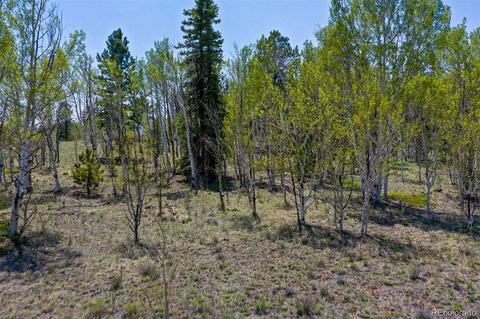 1248 Frees Loop, Hartsel, CO 80449 photo 3