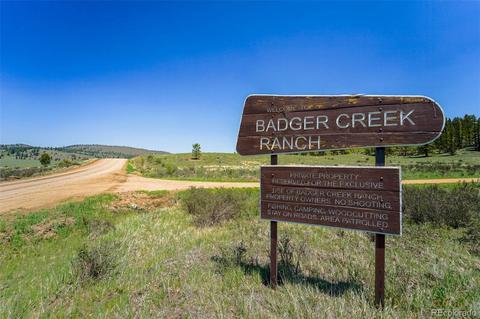 1248 Frees Loop, Hartsel, CO 80449 photo 1