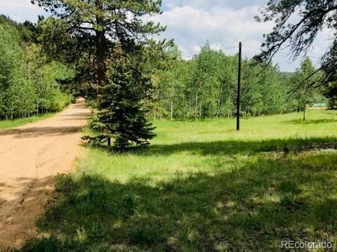 538 Neal Rd, Bailey, CO 80421 photo 8