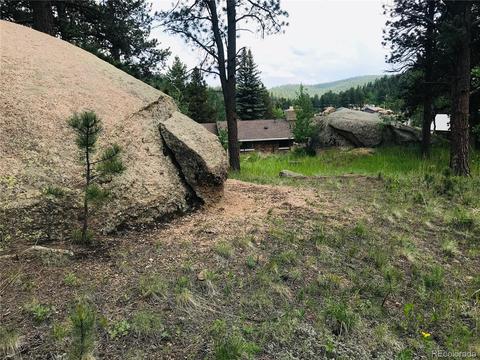 538 Neal Rd, Bailey, CO 80421 photo 6