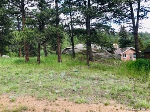 538 Neal Rd, Bailey, CO 80421 photo 7