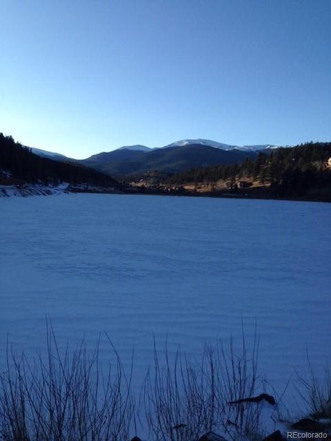 538 Neal Rd, Bailey, CO 80421 photo 20