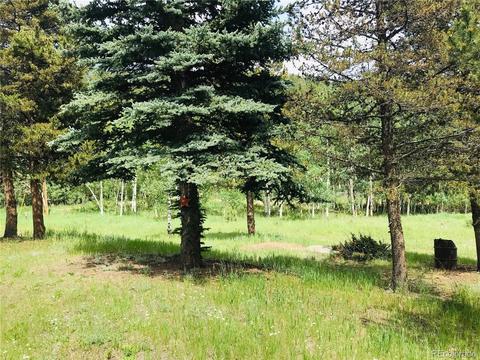 538 Neal Rd, Bailey, CO 80421 photo 9