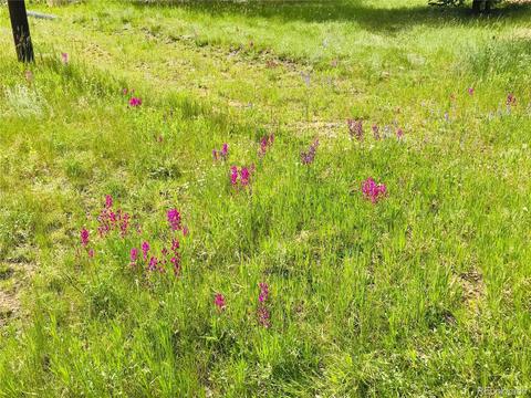 538 Neal Rd, Bailey, CO 80421 photo 10