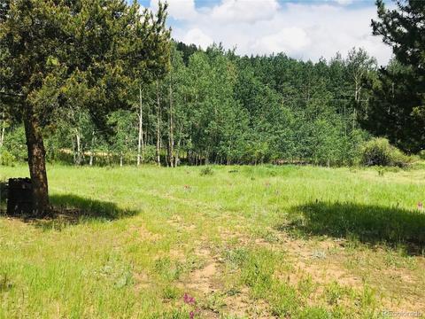 538 Neal Rd, Bailey, CO 80421 photo 11