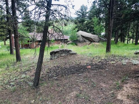 538 Neal Rd, Bailey, CO 80421 photo 4