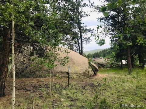 538 Neal Rd, Bailey, CO 80421 photo 5