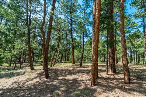 19085 Hilltop Pines Path, Monument, CO 80132 photo 1